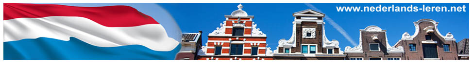 Nederlands leren en Inburgeren in Nederland. U wilt inburgeren in Nederland. Daarom moet u de Nederlandse taal leren. U moet ook leren over het wonen en werken in Nederland. Het inburgeringsexamen bestaat uit ��n praktijkexamen en drie centrale examens. Als u voor alle examens bent geslaagd, krijgt u het inburgeringsdiploma en bent u ingeburgerd. U kunt eerst een inburgeringscursus volgen om de Nederlandse taal en de Nederlandse samenleving beter te leren kennen. U vraagt de inburgeringscursus en het inburgeringsexamen aan bij uw gemeente.
